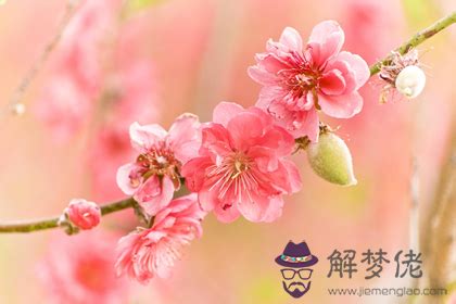 如何避免爛桃花|【破解桃花煞訣竅全攻略：遠離爛桃花，擁抱正緣】